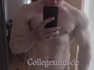 Collegexmuscle