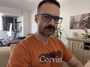 Corvin