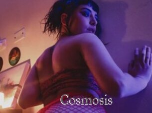 Cosmosis