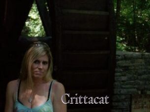 Crittacat