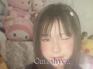 Cuteshycat