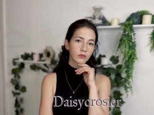 Daisycrosier