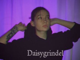 Daisygrindel