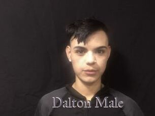 Dalton_Male