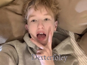 Dexterfoley