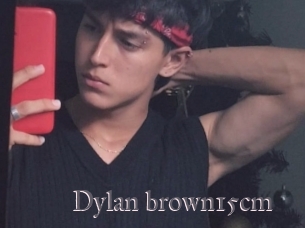 Dylan_brown15cm