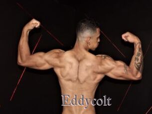 Eddycolt