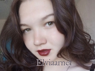 Elviaarnet