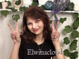 Elwinacloud