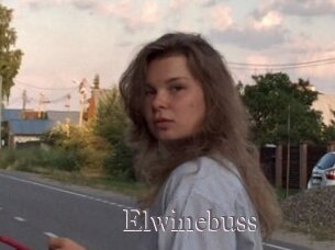 Elwinebuss