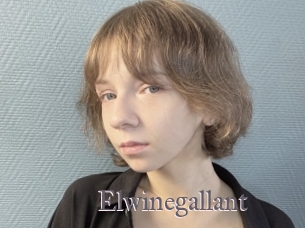 Elwinegallant