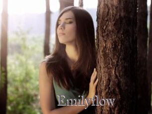 Emilyflow