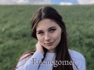 Erlenegomer