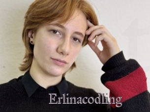 Erlinacodling