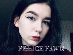 FELICE_FAWN