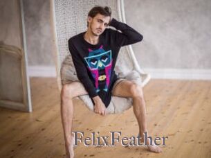 FelixFeather