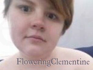 FloweringClementine