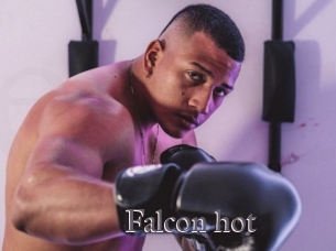 Falcon_hot