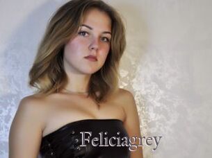 Feliciagrey