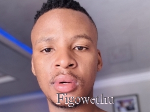 Figowethu