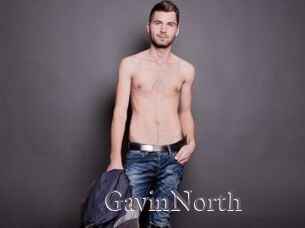 GavinNorth