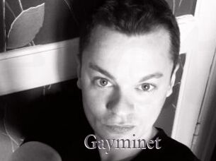 Gayminet