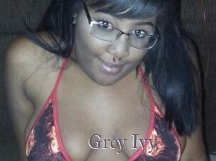 Grey_Ivy