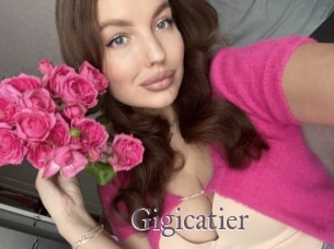 Gigicatier