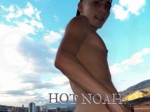 HOT_NOAH