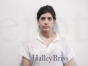 HalleyBriss