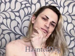 HauntedDog