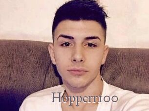 Hopperr100