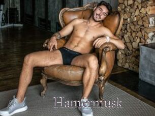 Hamermusk