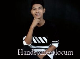 Handsomesolocum