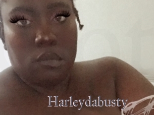 Harleydabusty