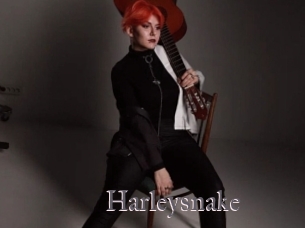 Harleysnake