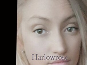 Harlowrose