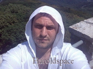 Haroldspace