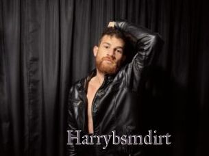 Harrybsmdirt