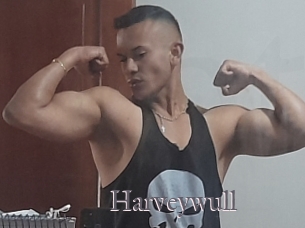 Harveywull