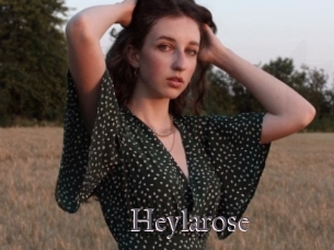 Heylarose