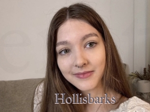 Hollisbarks