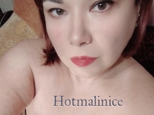 Hotmalinice