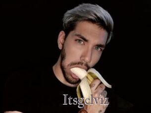 Itsgelviz