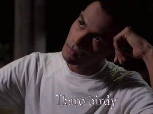 Ikaro_birdy