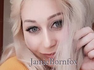 JamieBornfox