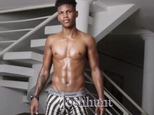Joshhunt
