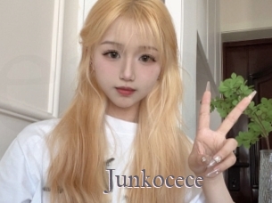 Junkocece