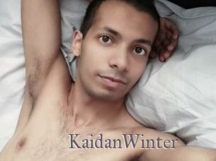 KaidanWinter