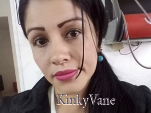 KinkyVane